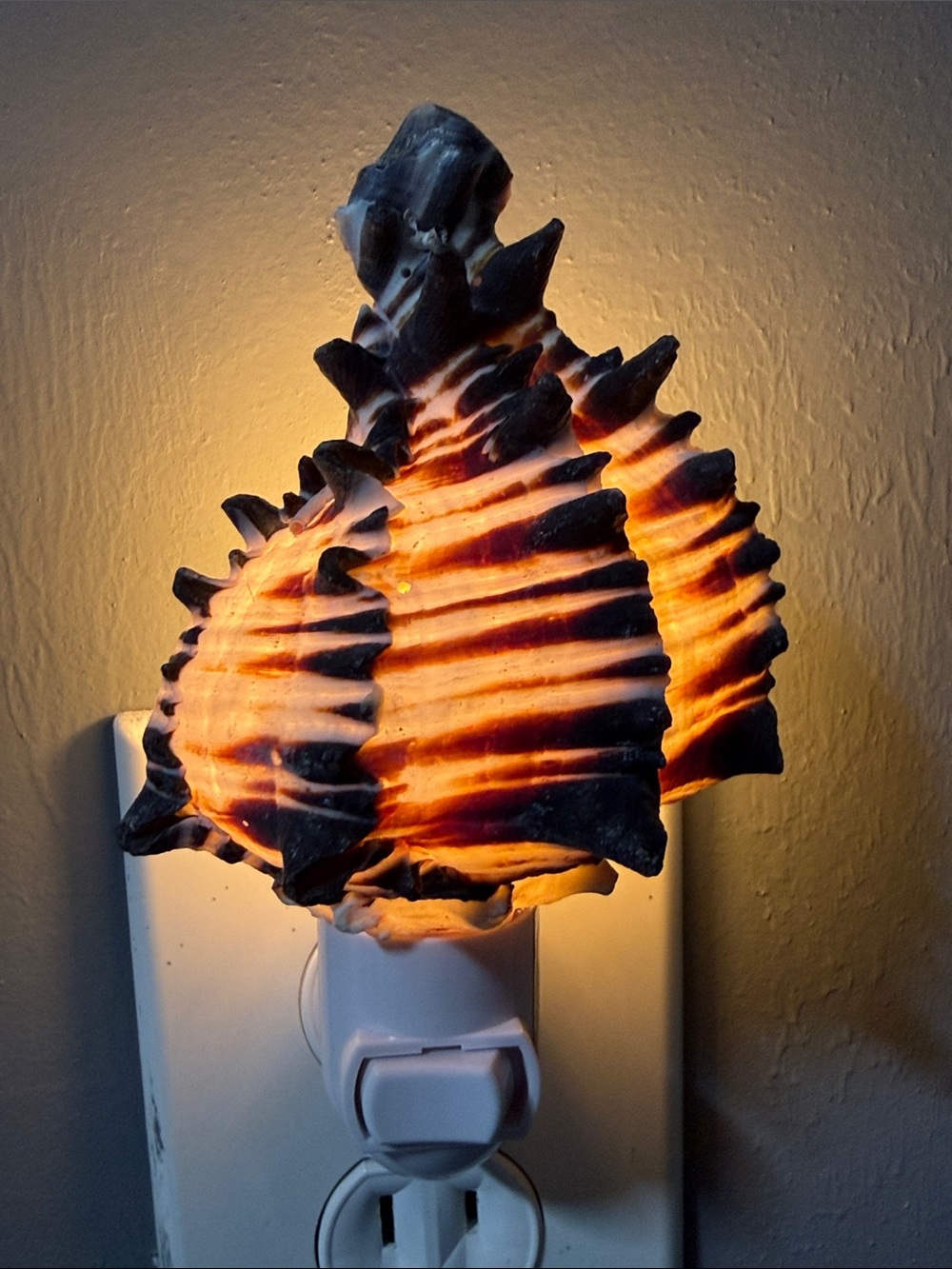 SeaShell Night Light - Wall decoration - Picture 3 of 3